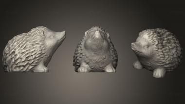 3D model Hedgehog W fixed Bottom (STL)