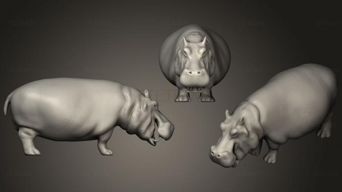 3D model Hippopotamus with open mouth (STL)