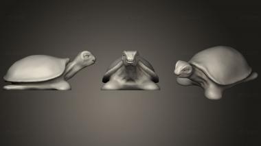 3D модель Просто Черепаха и черепаший плантатор (STL)
