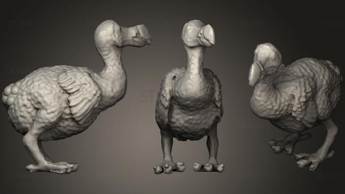 3D model More Realistic Dodo Raphus (STL)