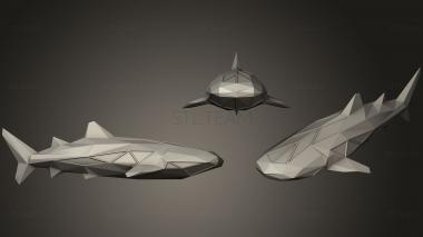 3D model Polygonal Whale Shark Parametric (STL)