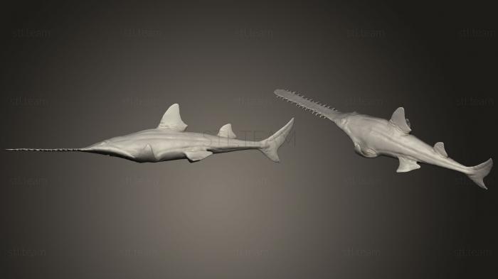 3D model Prehistoric Fish (Onchopristis) (STL)