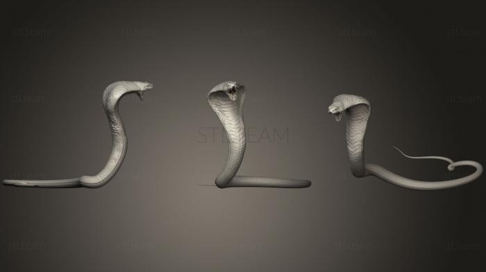 3D model Realistic angry attack cobra (STL)