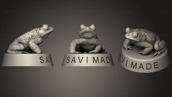 3D модель Реалистичная неотропическая желтая жаба (Incilius Luetkenii) (STL)