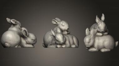 3D model Scanned Rabbit Figure (STL)