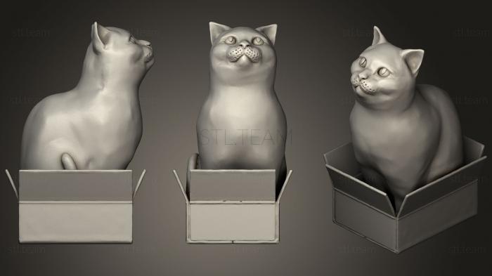 3D модель Шродинки Британская короткошерстная Кошка, Сидящая в коробке (STL)