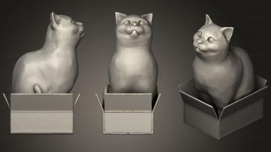 3D model Schrodinky  British Shorthair Cat Sitting In A Box (STL)