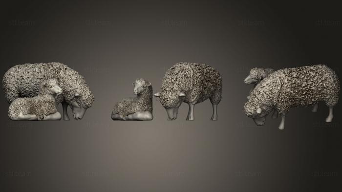 Пастух и овцы.4