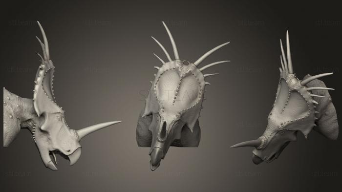 3D model Styracosaurus Albertensis Bust (STL)