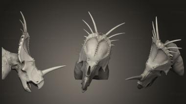 3D модель Бюст Styracosaurus Albertensis (STL)