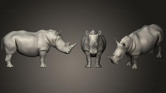 Статуэтки животных Adult white rhino WIP