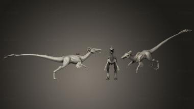 3D модель Compsognathus Longipes157 (STL)