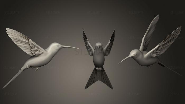 3D model Swallow tailed Hummingbird (STL)