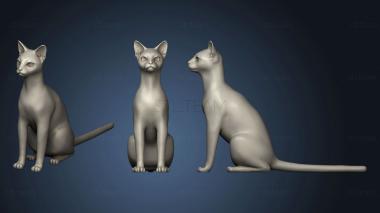 3D model Abyssinian Cat (STL)