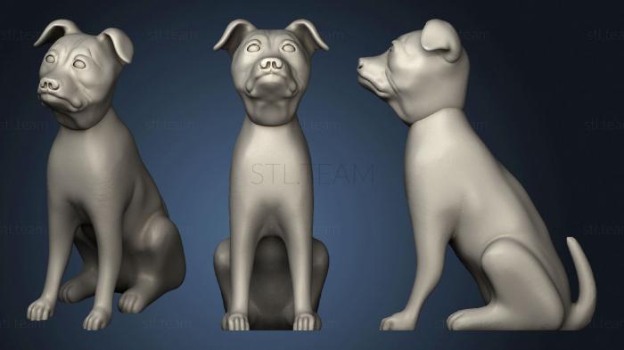 3D model American Staffordshire Terrier (STL)