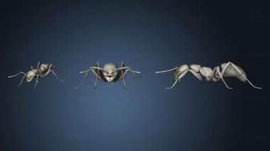 3D модель Идущий муравей (STL)