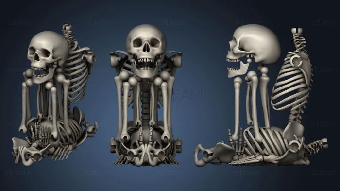 Статуэтки животных Articulated Skeleton