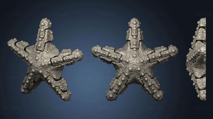 3D model Articulated Starfish (STL)