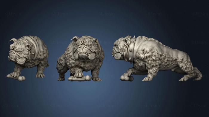 3D model Beast Pet (STL)