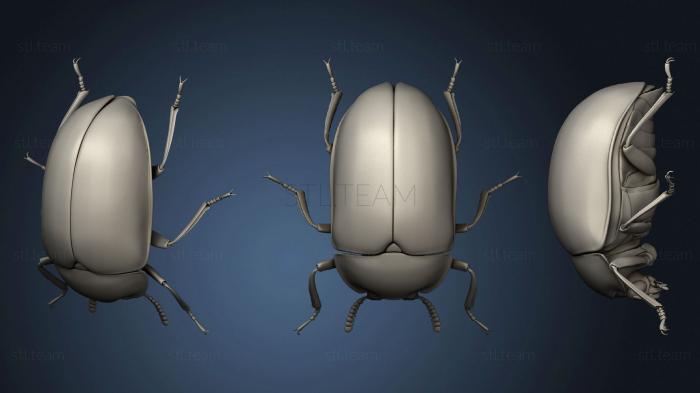 3D model Beetle 6 003 (STL)