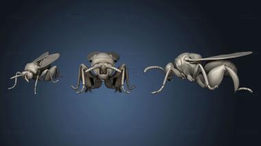 3D model beetle 7 001 (STL)