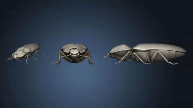 3D model Beetle 9 002 (STL)