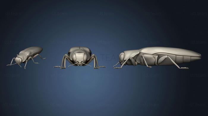 3D model Beetle 10 002 (STL)
