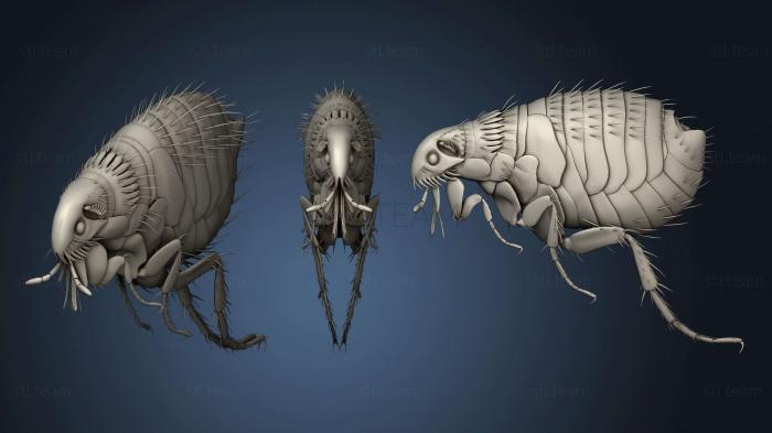 Статуэтки животных Beetle 12 001
