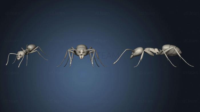 Статуэтки животных Beetle