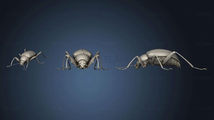 3D model Beetle 14 004 (STL)