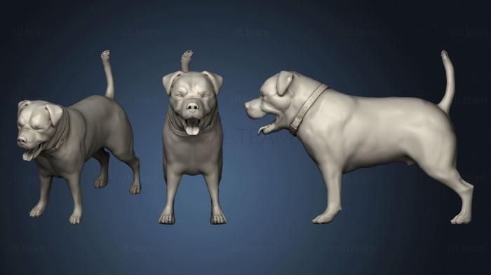 3D model Black dog (STL)