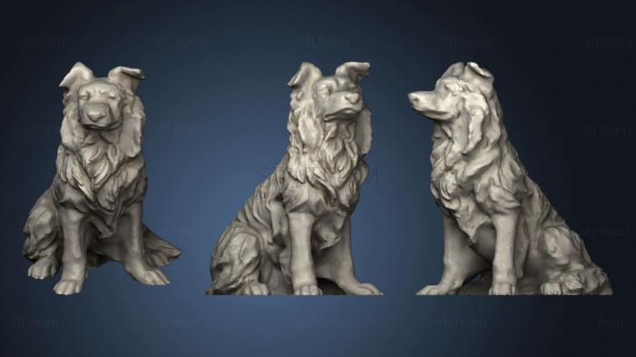 3D model Border Collie smoothed (STL)