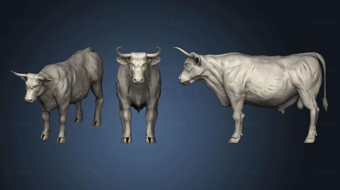 3D model Bull Full Body (STL)