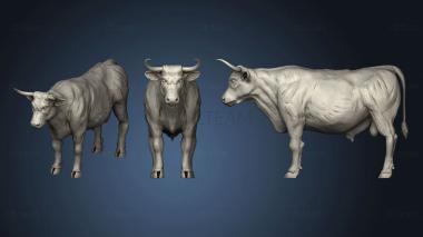 3D model Bull (STL)