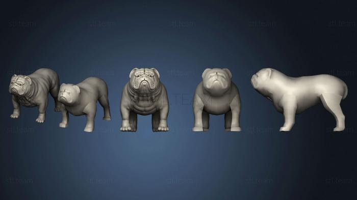 3D model Bulldog 3 (STL)
