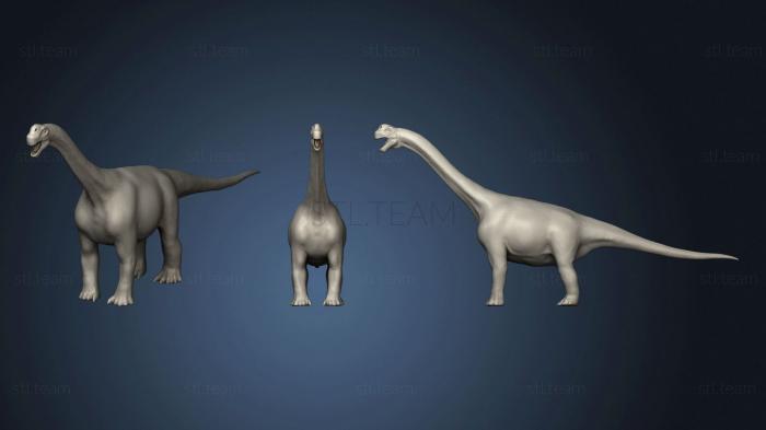 3D model Camarasaurus 2 7 (STL)