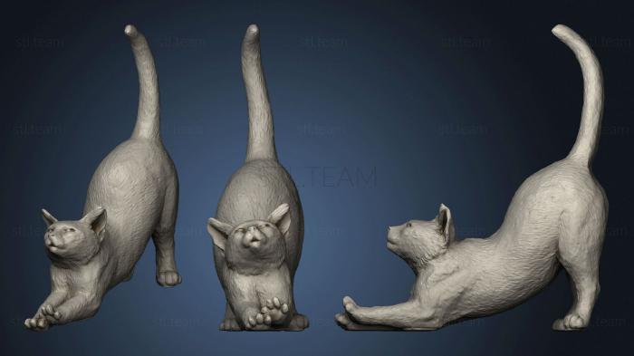 3D model Cat Stretch (STL)