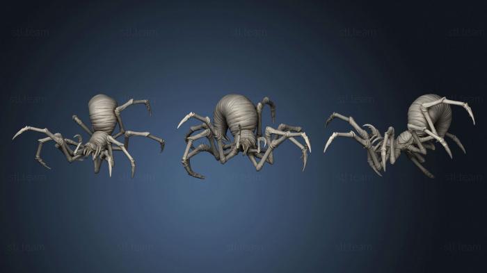 3D model Cave Spider 1 (STL)