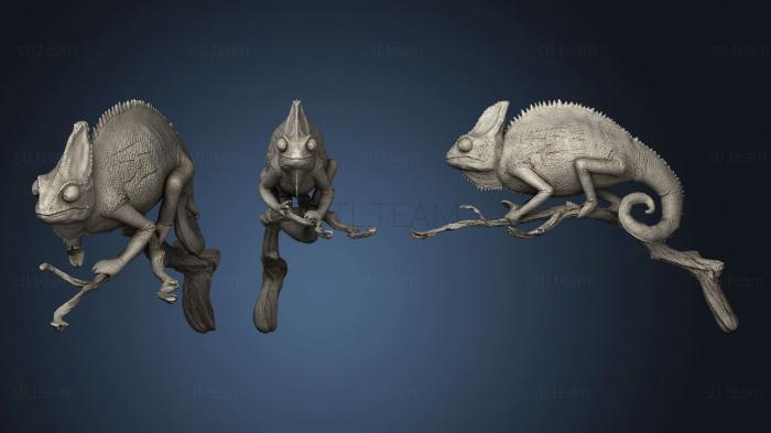 3D model Chameleon Sculpt (STL)