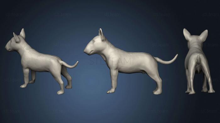 Статуэтки животных Chien bull terrier v2
