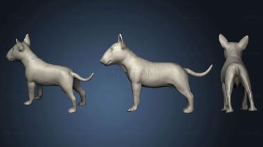 3D model Chien bull terrier v2 (STL)