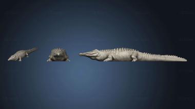 3D model Crocodile full body rough (STL)