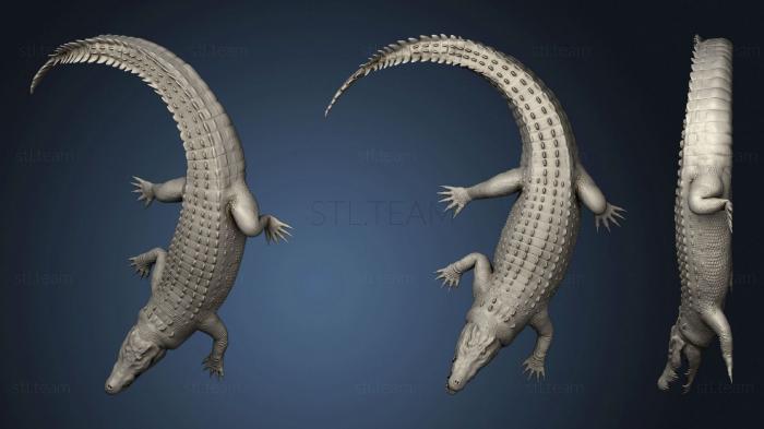 3D model Crocodile (STL)