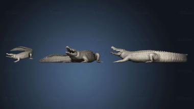 3D model Crocodile (STL)