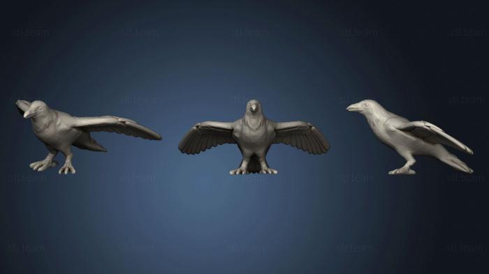 3D model Crow Open Wings (STL)