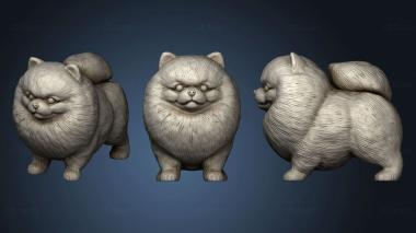 3D model Cute Pomerranian (STL)