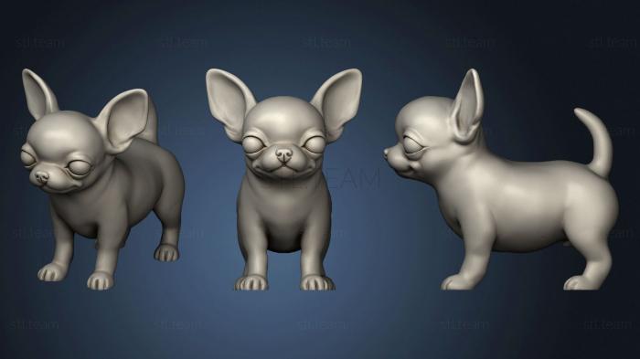 3D model Cute Puppy Chihuahua dog (STL)
