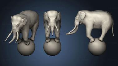 3D model Circus Elephant (STL)