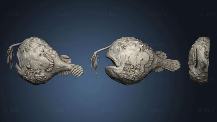 3D модель Мертвая Рыба-Удильщик 2 (STL)