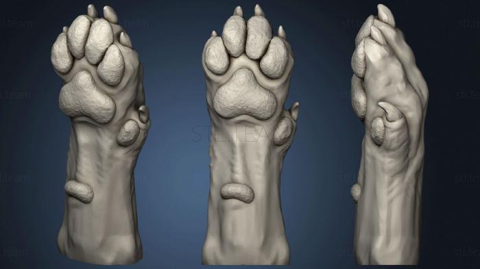 3D model Dog Paw 2 (STL)